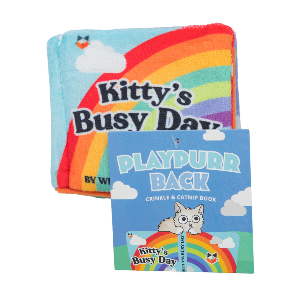 Playpurr back Book cat toy