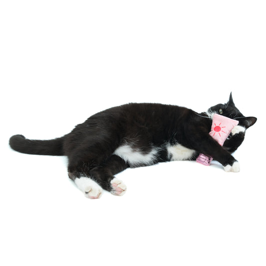 S-Purr-F 30 Toasty Tummies catnip sunscreen toy