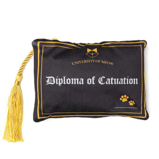 Catchelor’s Degree Scratcher