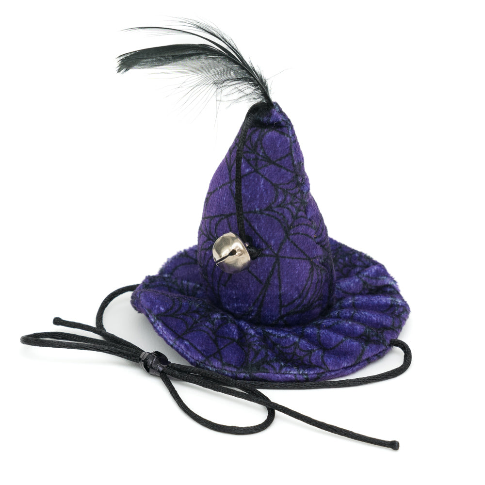 The Whiskered Witch witch’s hat