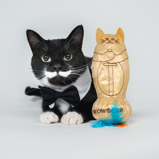 Meowscar Catnip toy