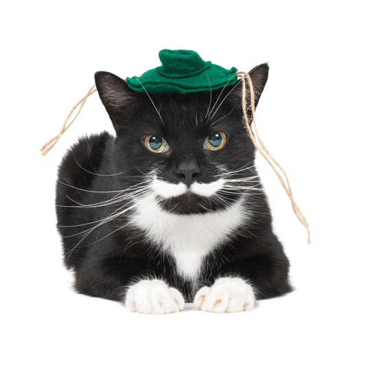 Meowtback Hat cat toy