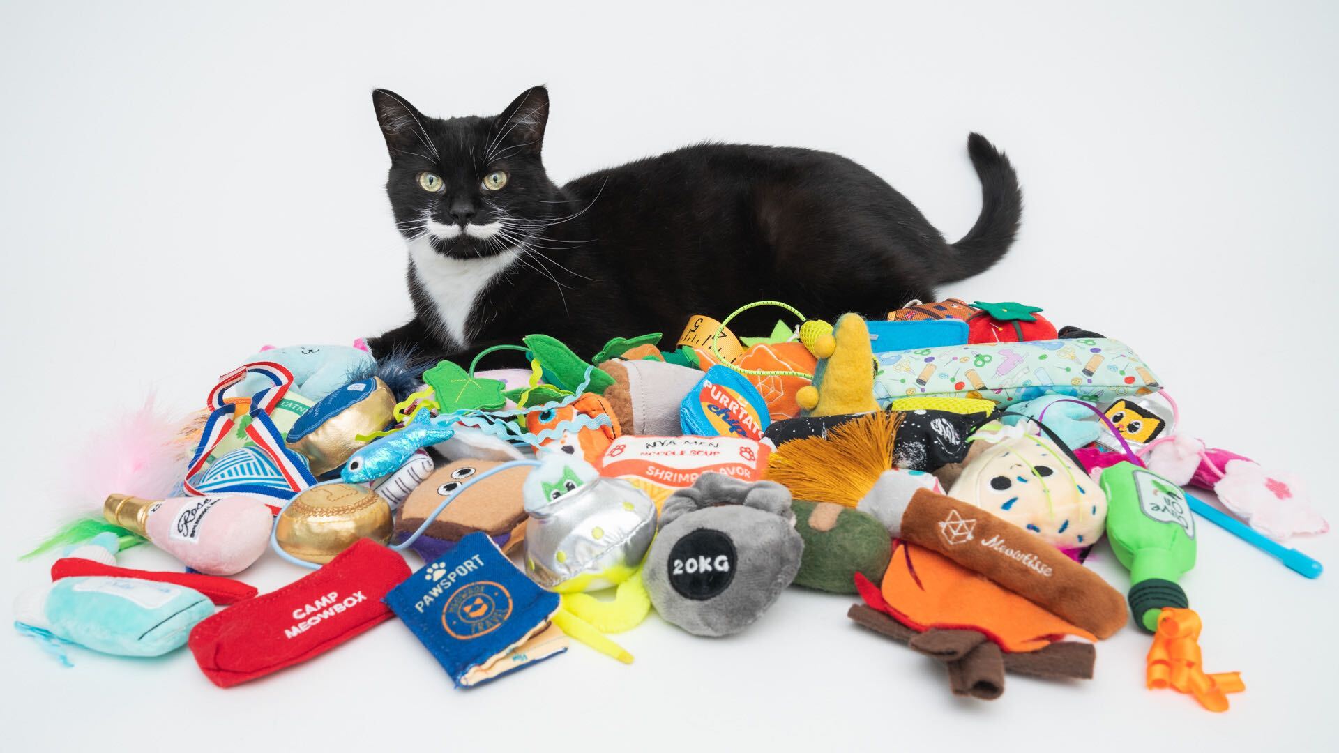 Cat toys and clearance treats